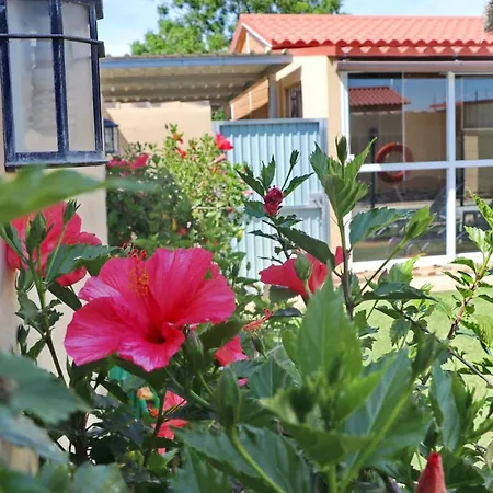 Apartment Curro Pareja 97 Conil De La Frontera