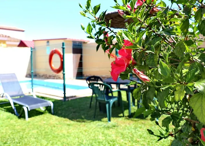 Apartment Curro Pareja 97 Conil De La Frontera