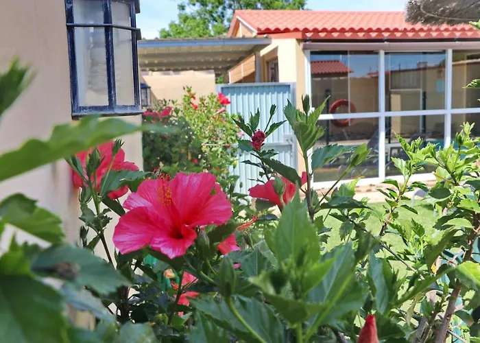 Apartment Curro Pareja 97 Conil De La Frontera