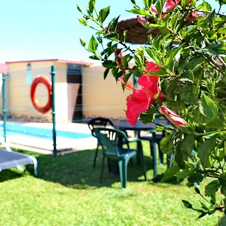 Apartamento Curro Pareja 97 Conil De La Frontera